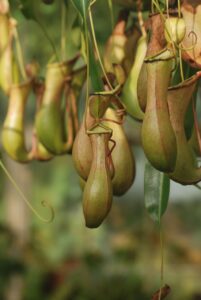 VIO毛嚢炎の原因と対策は何ですか？