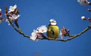 vio脱毛の間隔はどのくらいが理想ですか？