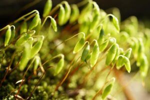 vio脱毛後に気をつけるべき毛嚢炎の予防法は？