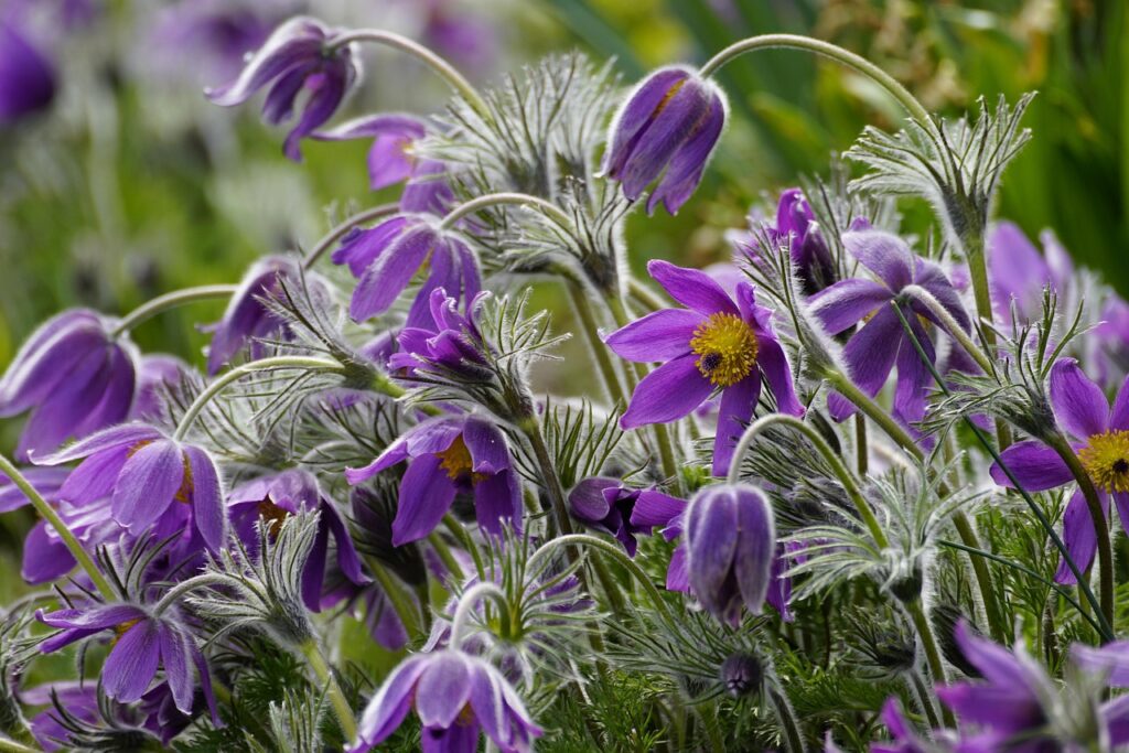 vio医療脱毛は何ヶ月おきに受けるべき？