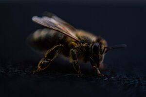VIO脱毛の痛みが少ないクリニックは託児ありでどう探す？