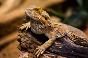 VIO脱毛の方法を比較して、自分に合った選び方は？